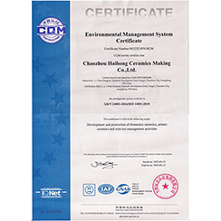 ISO 14001 Environmental Management System Certificate(English)